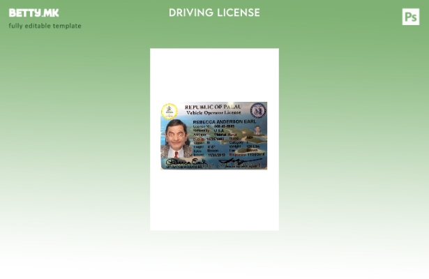 Модерен стил Шаблон за возачка дозвола од Палау од предната страна